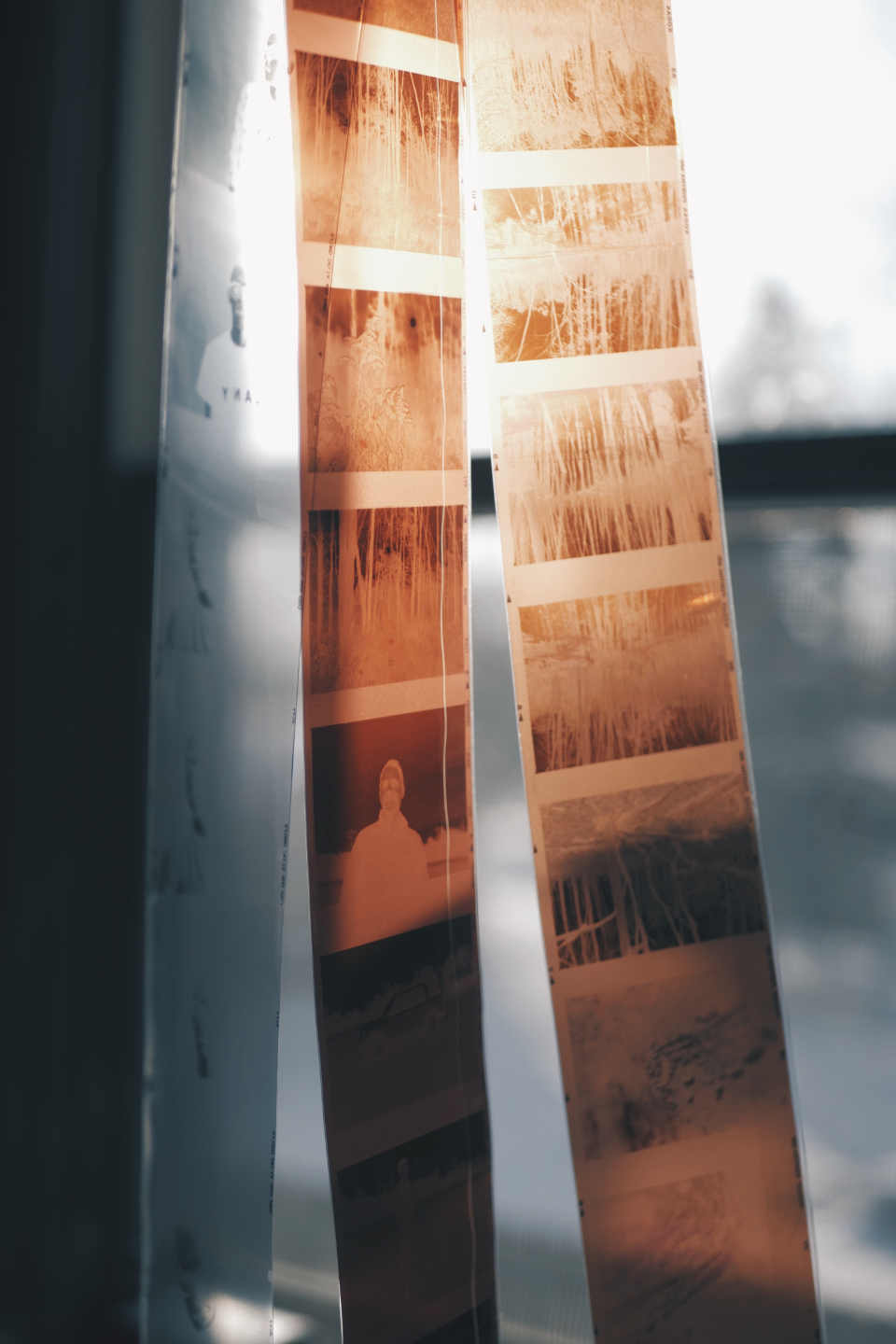 RAW photos is a kind of negatives in analog photography